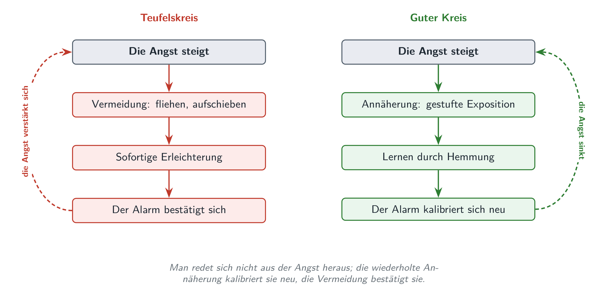Zwei Antworten auf dieselbe Angst: die Vermeidung erleichtert im Augenblick und verstärkt dann den Alarm, die wiederholte Annäherung kalibriert ihn neu.
