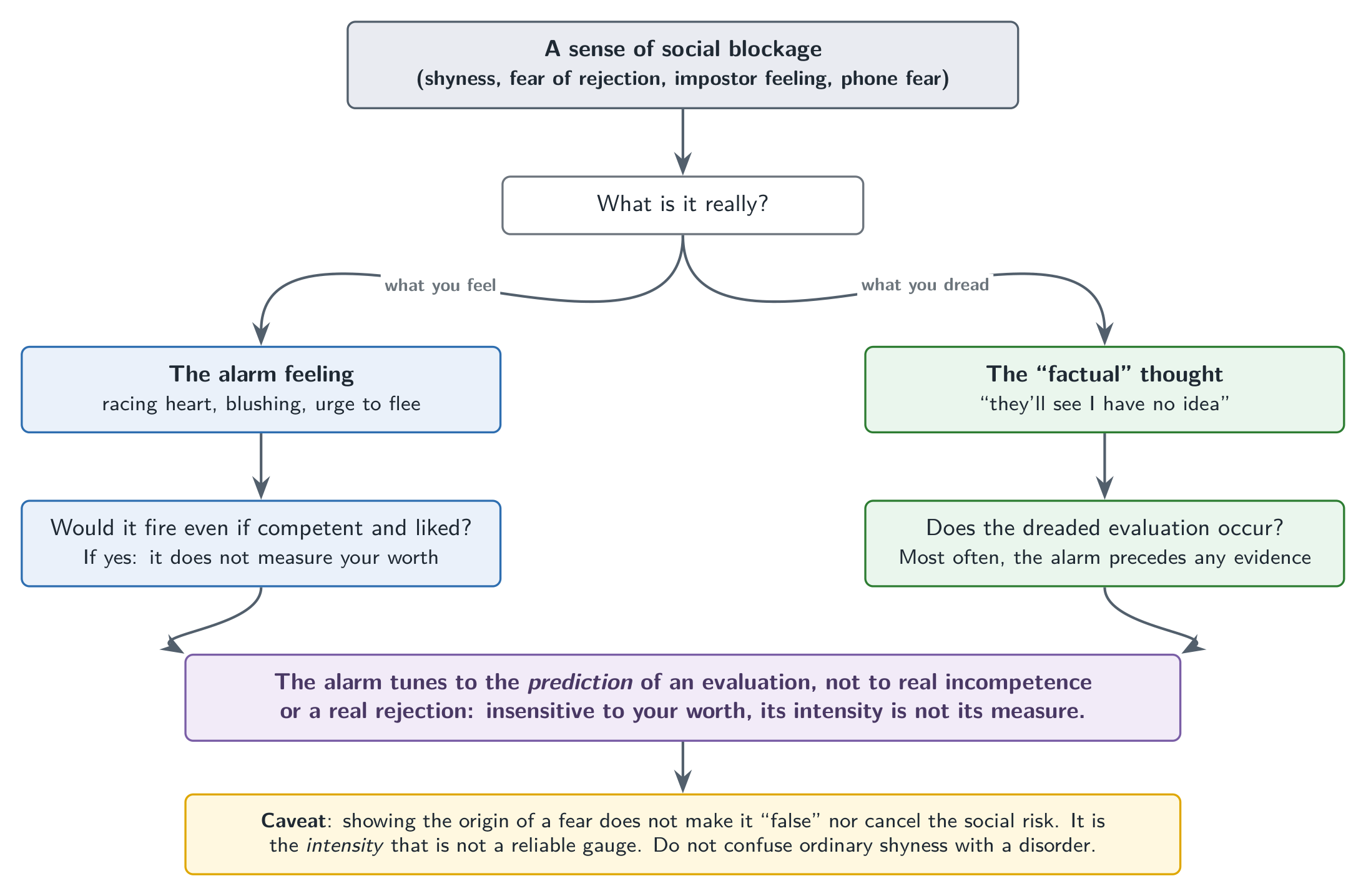 The social alarm system: a mechanism tuned to over-detect, whose intensity predicts an evaluation without measuring your real worth.