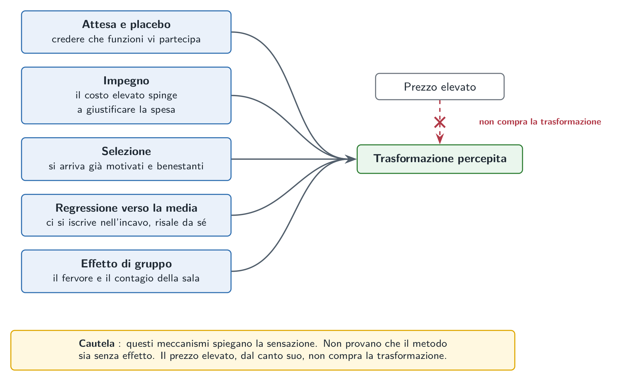 Diversi motori della trasformazione percepita dopo un seminario premium: attesa e placebo, impegno, selezione, regressione verso la media, effetto di gruppo. Convergono verso l’effetto; il prezzo elevato non ne è la causa.