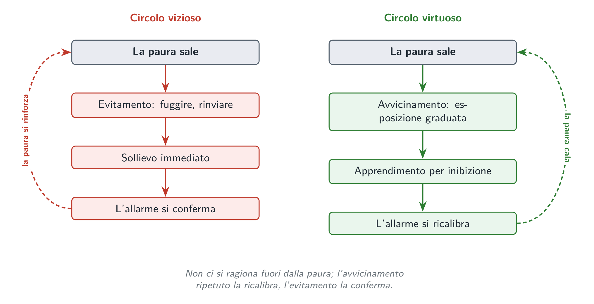 Due risposte alla stessa paura: l’evitamento allevia sul momento poi rinforza l’allarme, l’avvicinamento ripetuto la ricalibra.