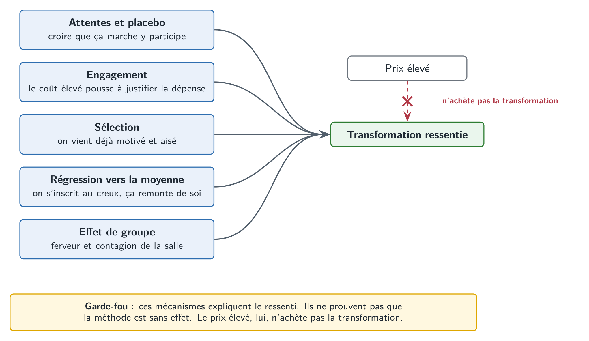 Plusieurs moteurs de la transformation ressentie après un séminaire premium : attentes et placebo, engagement, sélection, régression vers la moyenne, effet de groupe. Ils convergent vers l’effet ; le prix élevé n’en est pas la cause.