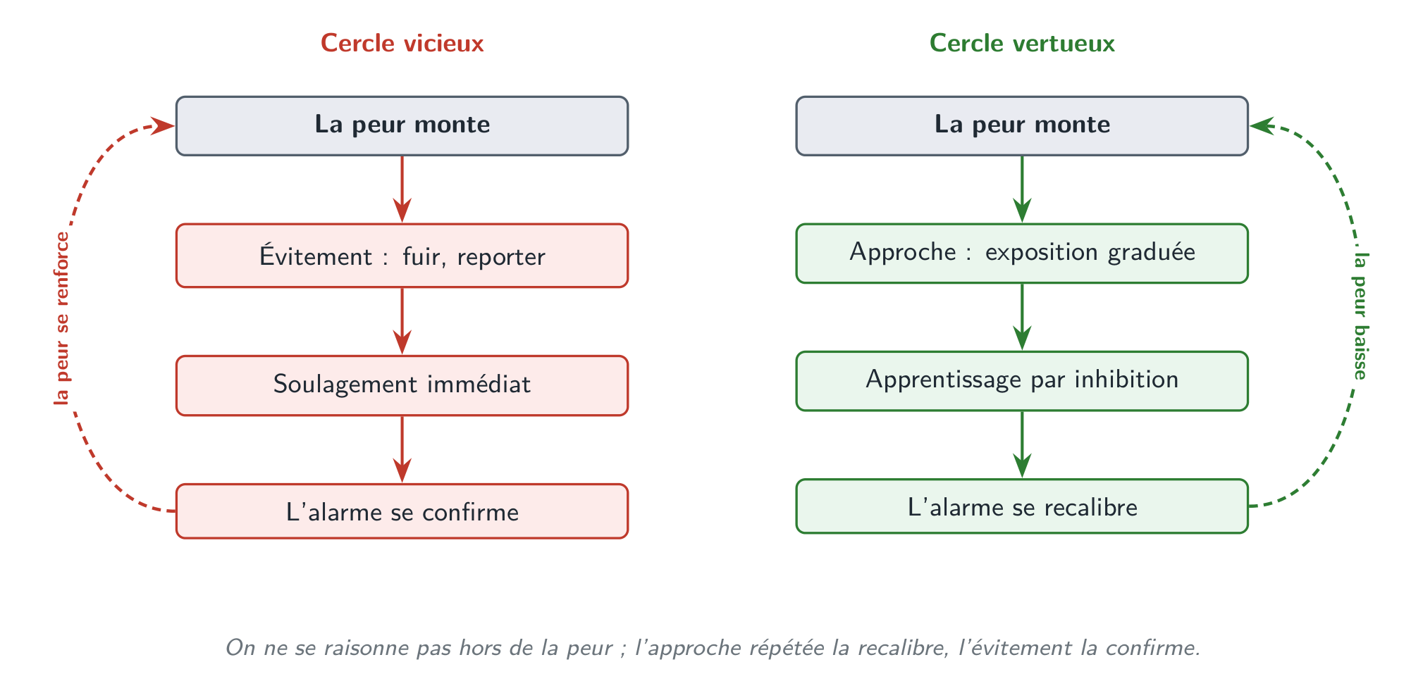 Deux réponses à la même peur : l’évitement soulage sur le moment puis renforce l’alarme, l’approche répétée la recalibre.